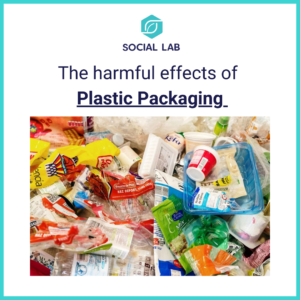 Read more about the article Plastic Waste Managment Rules